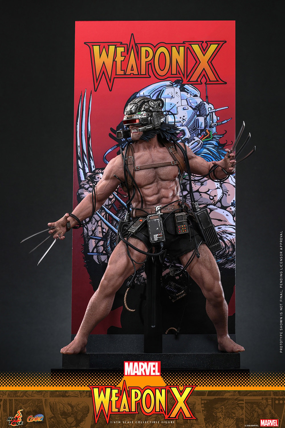 Hot Toys: CMS034 Marvel Comics Weapon X 1/6 Scale Collectible Figure - Image 12