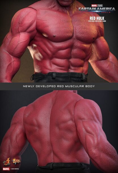 Hot Toys: MMS797 Captain America: Brave New World: Red Hulk 1/6th Scale Collectible Figure - Image 9