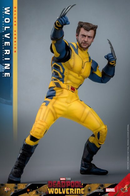 Hot Toys: MMS754 Deadpool & Wolverine: Wolverine 1/6th Scale Collectible Figure (Deluxe Version) - Image 2