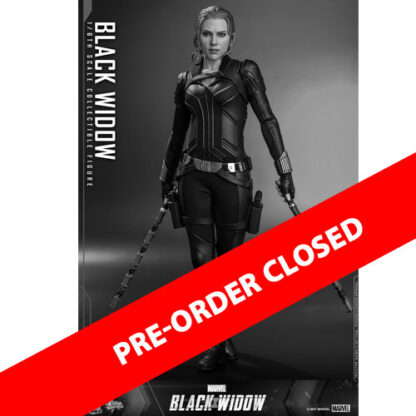 Hot Toys: MMS603 Black Widow: Black Widow 1/6th Scale Collectible Figure