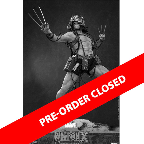 Hot Toys: CMS034 Marvel Comics Weapon X 1/6 Scale Collectible Figure