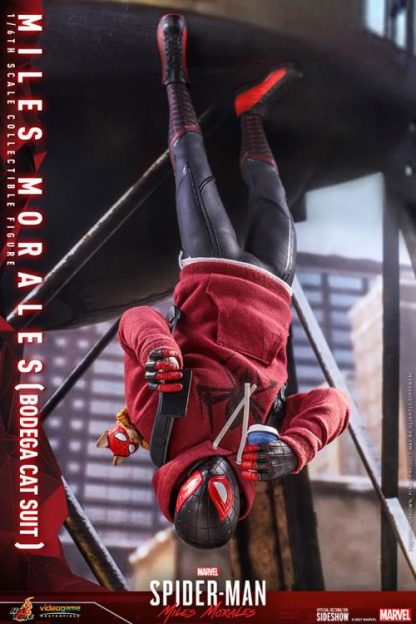 Hot Toys: VGM50 Marvel’s Spider-Man: Miles Morales: Miles Morales (Bodega Cat Suit) 1/6th Scale  Collectible Figure - Image 19