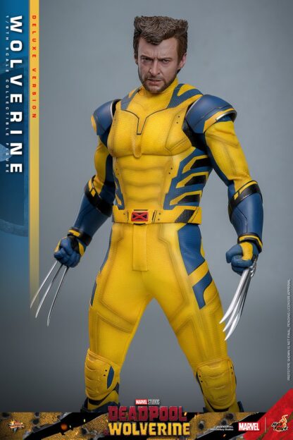 Hot Toys: MMS754 Deadpool & Wolverine: Wolverine 1/6th Scale Collectible Figure (Deluxe Version) - Image 3