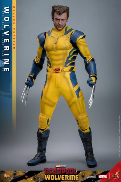 Hot Toys: MMS754 Deadpool & Wolverine: Wolverine 1/6th Scale Collectible Figure (Deluxe Version) - Image 4