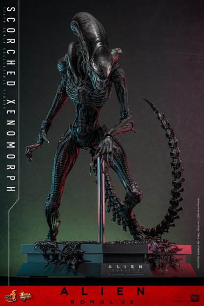 Hot Toys: MMS784 Alien: Romulus Scorched Xenomorph 1/6th Scale Collectible Figure - Image 16