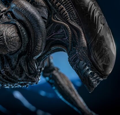 Hot Toys: MMS784 Alien: Romulus Scorched Xenomorph 1/6th Scale Collectible Figure - Image 21