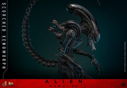 Hot Toys: MMS784 Alien: Romulus Scorched Xenomorph 1/6th Scale Collectible Figure - Image 10