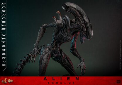 Hot Toys: MMS784 Alien: Romulus Scorched Xenomorph 1/6th Scale Collectible Figure - Image 9