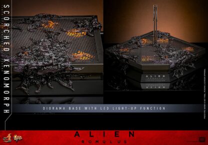 Hot Toys: MMS784 Alien: Romulus Scorched Xenomorph 1/6th Scale Collectible Figure - Image 3