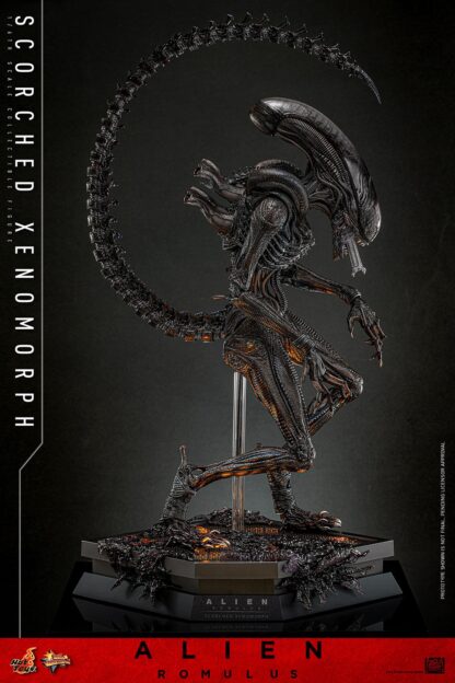 Hot Toys: MMS784 Alien: Romulus Scorched Xenomorph 1/6th Scale Collectible Figure - Image 18