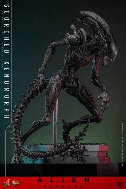 Hot Toys: MMS784 Alien: Romulus Scorched Xenomorph 1/6th Scale Collectible Figure - Image 17