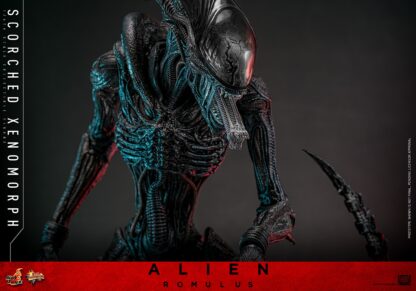 Hot Toys: MMS784 Alien: Romulus Scorched Xenomorph 1/6th Scale Collectible Figure - Image 11