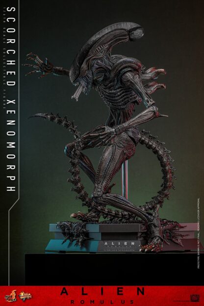 Hot Toys: MMS784 Alien: Romulus Scorched Xenomorph 1/6th Scale Collectible Figure - Image 15