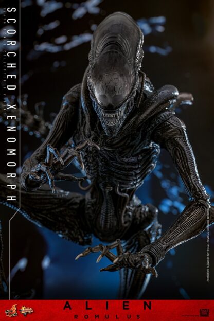 Hot Toys: MMS784 Alien: Romulus Scorched Xenomorph 1/6th Scale Collectible Figure - Image 12