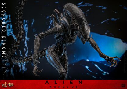 Hot Toys: MMS784 Alien: Romulus Scorched Xenomorph 1/6th Scale Collectible Figure - Image 6