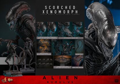 Hot Toys: MMS784 Alien: Romulus Scorched Xenomorph 1/6th Scale Collectible Figure - Image 2