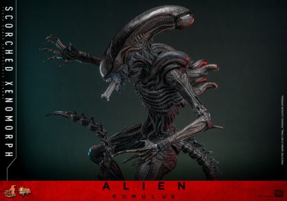 Hot Toys: MMS784 Alien: Romulus Scorched Xenomorph 1/6th Scale Collectible Figure - Image 8