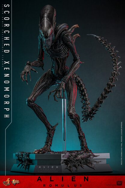 Hot Toys: MMS784 Alien: Romulus Scorched Xenomorph 1/6th Scale Collectible Figure - Image 14