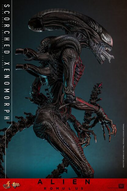 Hot Toys: MMS784 Alien: Romulus Scorched Xenomorph 1/6th Scale Collectible Figure - Image 13