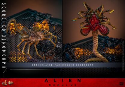 Hot Toys: MMS784 Alien: Romulus Scorched Xenomorph 1/6th Scale Collectible Figure - Image 4