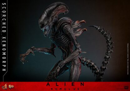 Hot Toys: MMS784 Alien: Romulus Scorched Xenomorph 1/6th Scale Collectible Figure - Image 7