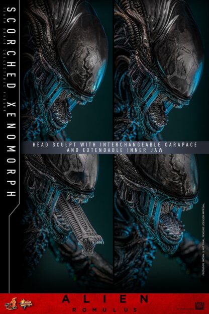 Hot Toys: MMS784 Alien: Romulus Scorched Xenomorph 1/6th Scale Collectible Figure - Image 5