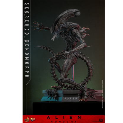 Hot Toys: MMS784 Alien: Romulus Scorched Xenomorph 1/6th Scale Collectible Figure