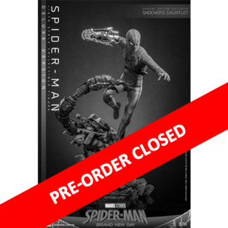 Hot Toys: MMS893B Spider-Man Brand New Day: Spider-Man 1/6 Scale Collectible Figure (Deluxe Special Edition)