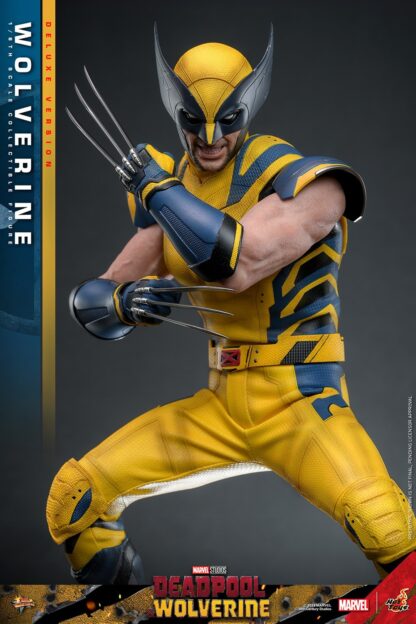 Hot Toys: MMS754 Deadpool & Wolverine: Wolverine 1/6th Scale Collectible Figure (Deluxe Version) - Image 5