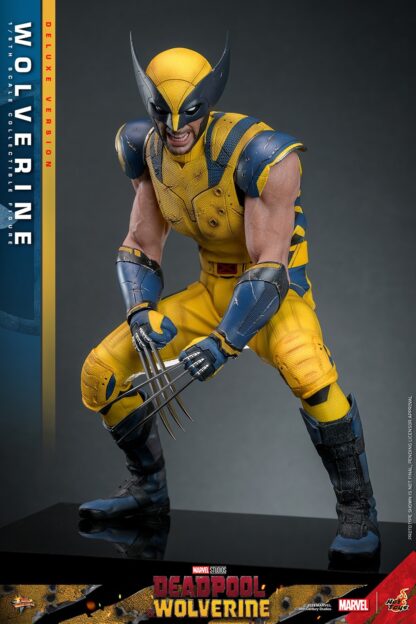 Hot Toys: MMS754 Deadpool & Wolverine: Wolverine 1/6th Scale Collectible Figure (Deluxe Version) - Image 6