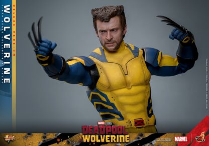 Hot Toys: MMS754 Deadpool & Wolverine: Wolverine 1/6th Scale Collectible Figure (Deluxe Version) - Image 8