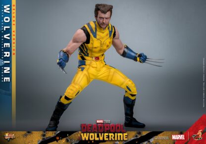 Hot Toys: MMS754 Deadpool & Wolverine: Wolverine 1/6th Scale Collectible Figure (Deluxe Version) - Image 9