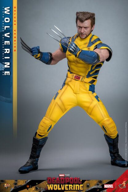 Hot Toys: MMS754 Deadpool & Wolverine: Wolverine 1/6th Scale Collectible Figure (Deluxe Version) - Image 11