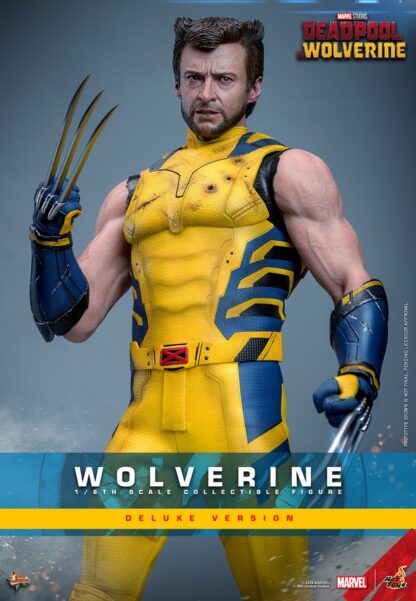 Hot Toys: MMS754 Deadpool & Wolverine: Wolverine 1/6th Scale Collectible Figure (Deluxe Version) - Image 17