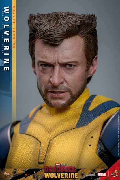 Hot Toys: MMS754 Deadpool & Wolverine: Wolverine 1/6th Scale Collectible Figure (Deluxe Version) - Image 12