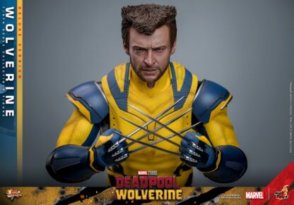 Hot Toys: MMS754 Deadpool & Wolverine: Wolverine 1/6th Scale Collectible Figure (Deluxe Version) - Image 13