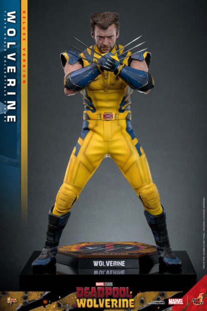 Hot Toys: MMS754 Deadpool & Wolverine: Wolverine 1/6th Scale Collectible Figure (Deluxe Version) - Image 14