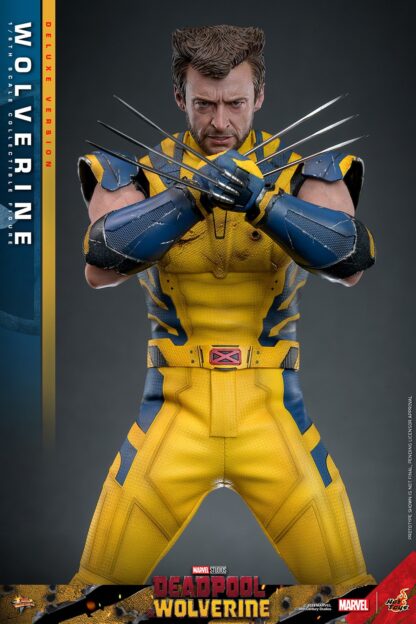 Hot Toys: MMS754 Deadpool & Wolverine: Wolverine 1/6th Scale Collectible Figure (Deluxe Version) - Image 15