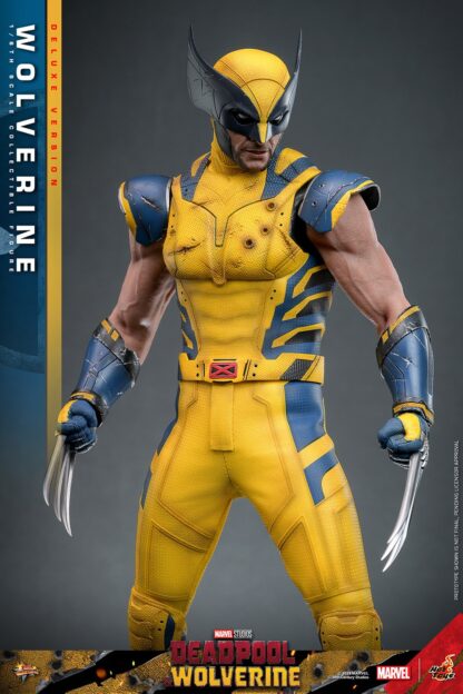 Hot Toys: MMS754 Deadpool & Wolverine: Wolverine 1/6th Scale Collectible Figure (Deluxe Version) - Image 18