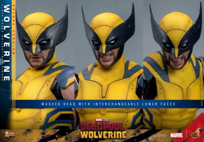 Hot Toys: MMS754 Deadpool & Wolverine: Wolverine 1/6th Scale Collectible Figure (Deluxe Version) - Image 22