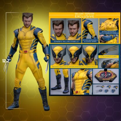 Hot Toys: MMS754 Deadpool & Wolverine: Wolverine 1/6th Scale Collectible Figure (Deluxe Version) - Image 24