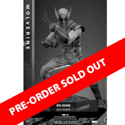 Hot Toys: MMS754 Deadpool & Wolverine: Wolverine 1/6th Scale Collectible Figure (Deluxe Version)